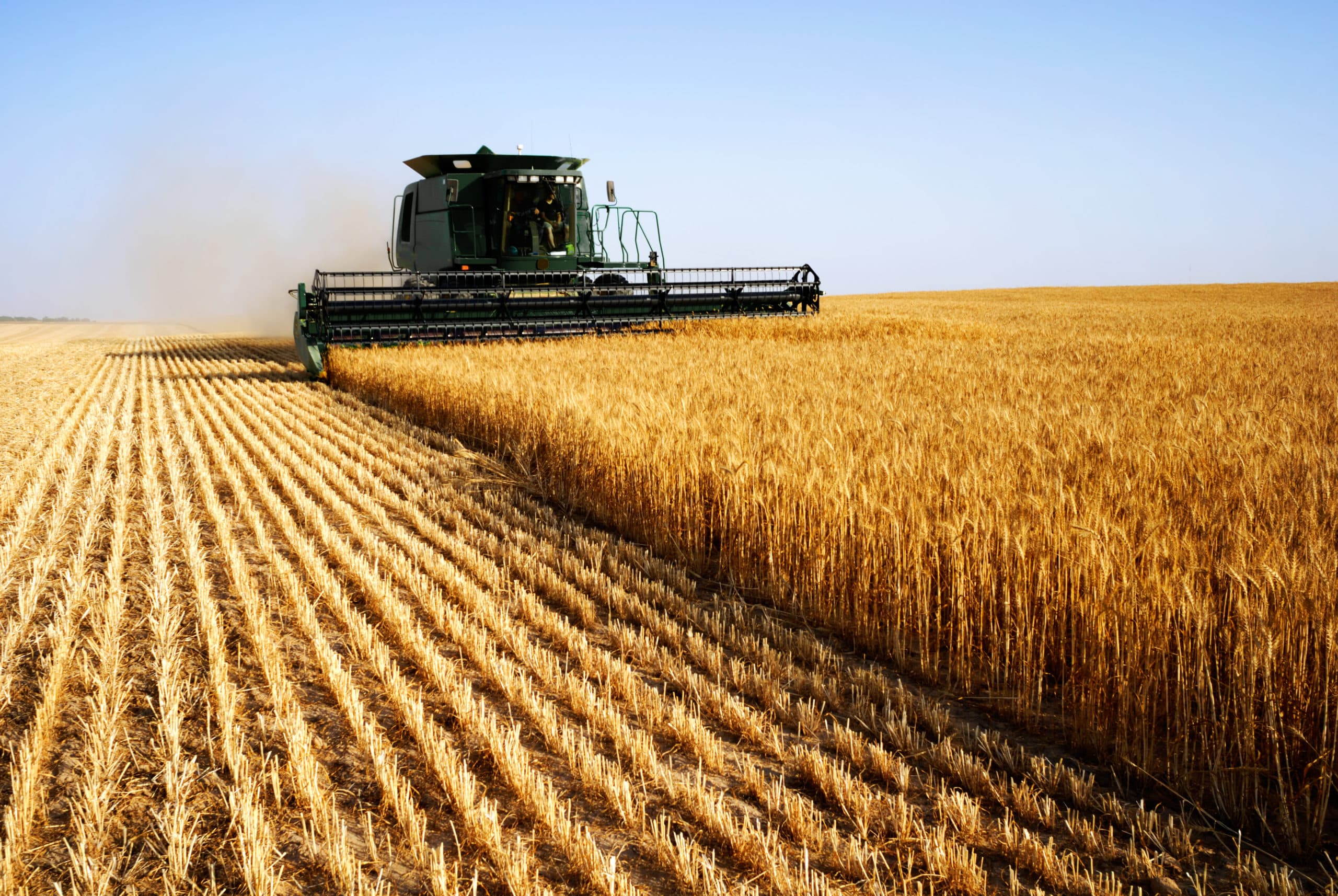 combine in field